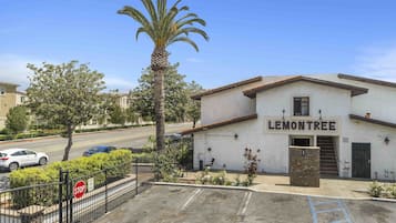 A building named "LEMONTREE" with a parking lot, a stop sign, and a palm tree.
