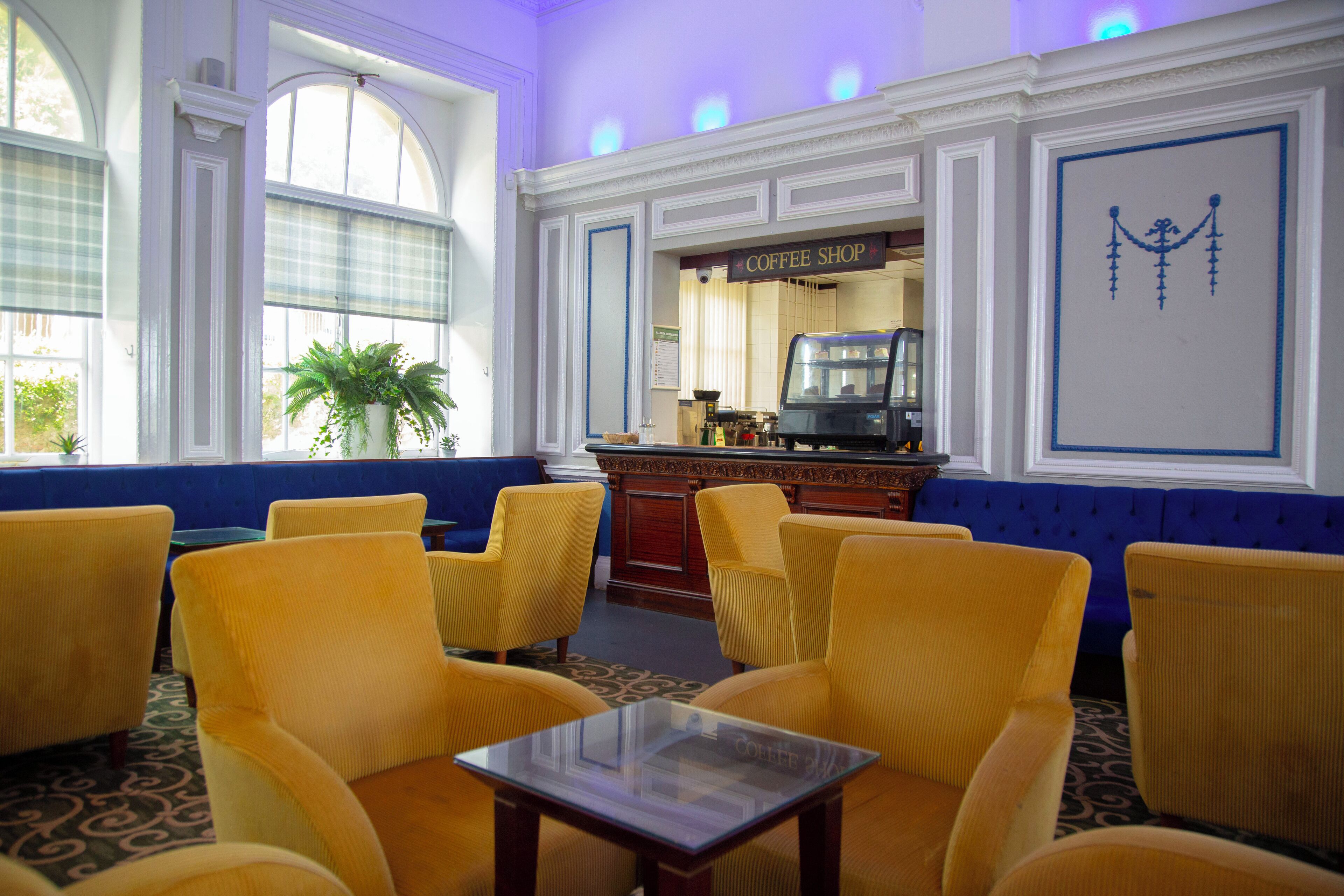 A room with yellow upholstered chairs, a coffee shop sign, and a large window with a plant.
