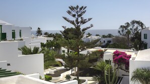 A coastal residential area with white buildings, green doors, and a prominent pine tree. - El Guarapo Apartamentos (Teguise)