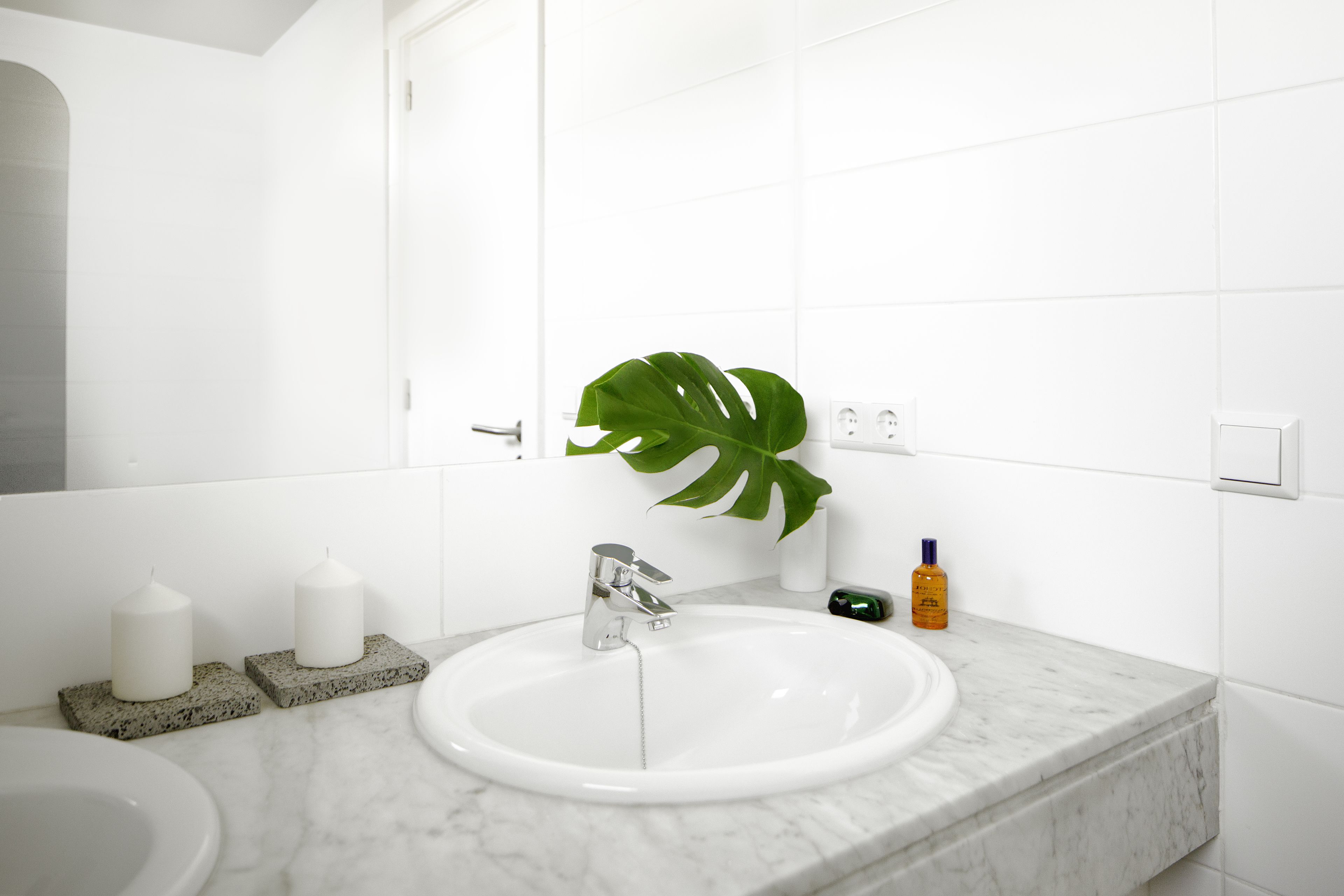 A bathroom with a white sink, a large mirror, and a green plant.