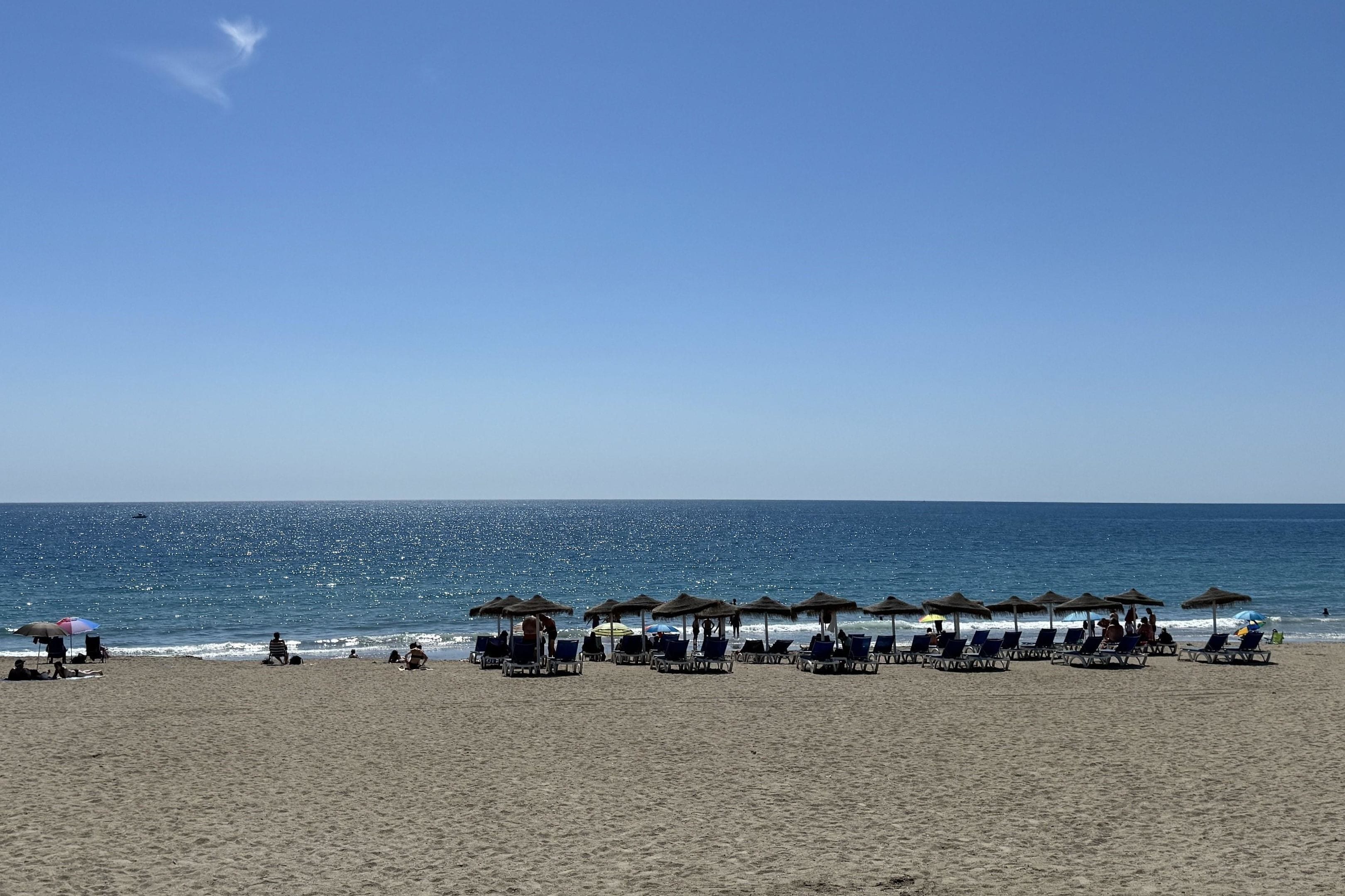 Una playa con filas de tumbonas y sombrillas, cielo despejado y el océano al fondo.
