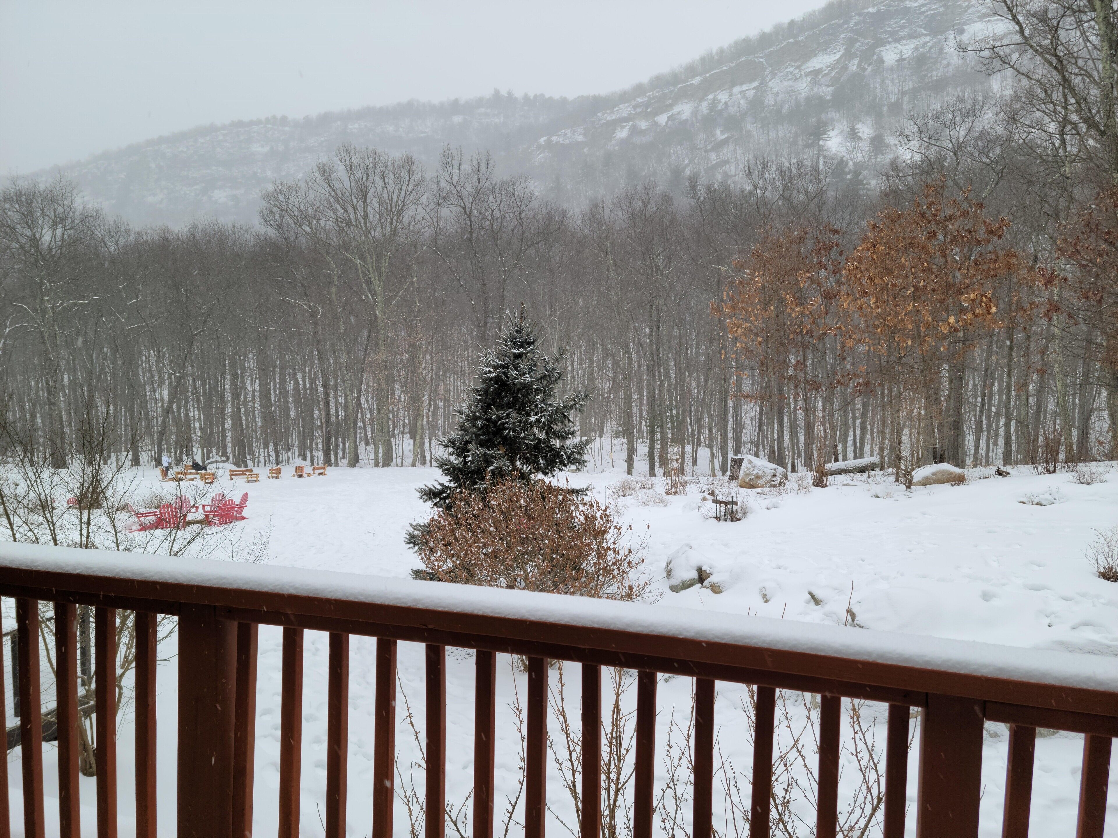 Un paisaje nevado con una terraza de madera y un árbol cubierto de nieve al frente.