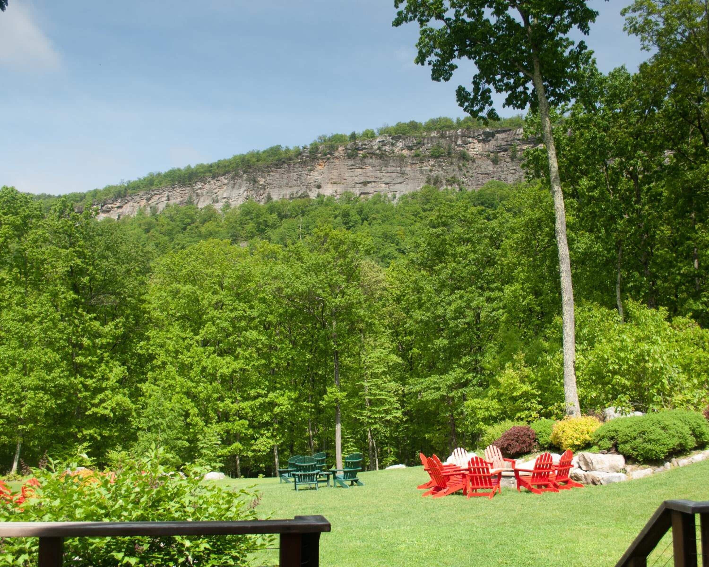 On peut admirer une forêt verdoyante et luxuriante, avec une falaise rocheuse en arrière-plan. Des espaces de détente en plein air, avec des chaises et des tables, sont aménagés.