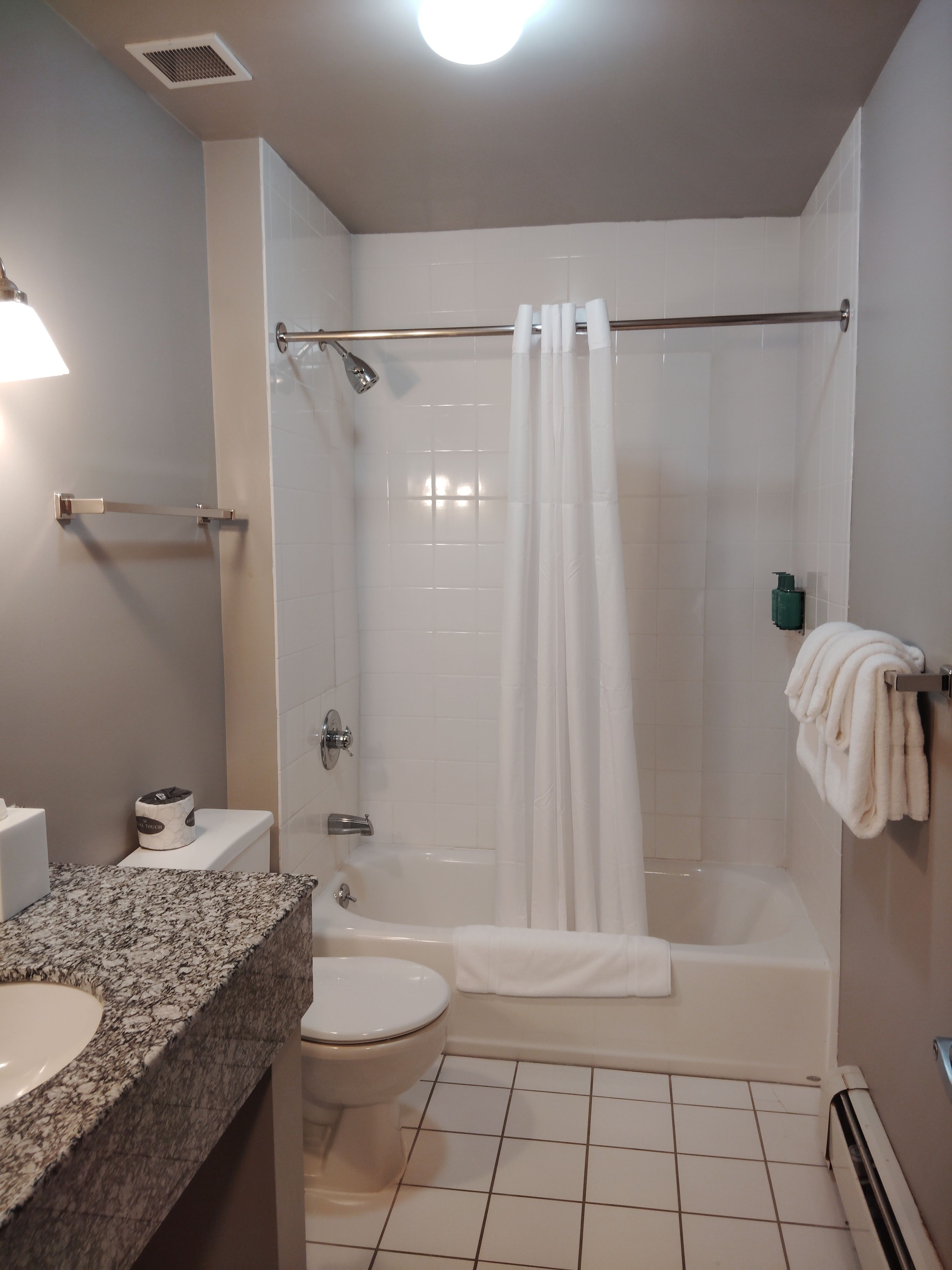 A bathroom with a shower, toilet, and sink.