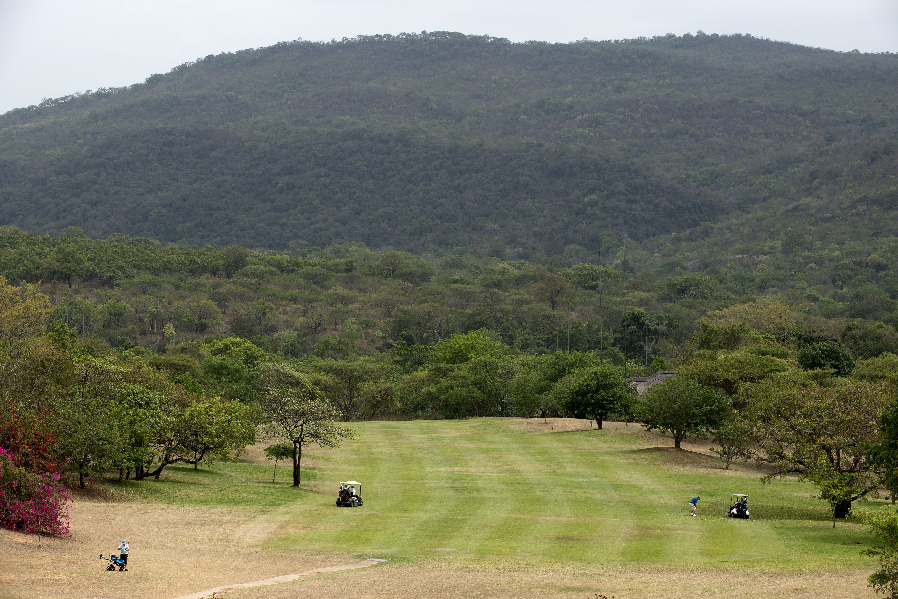 A golf course with a hilly backdrop, open grassy areas, and scattered trees.