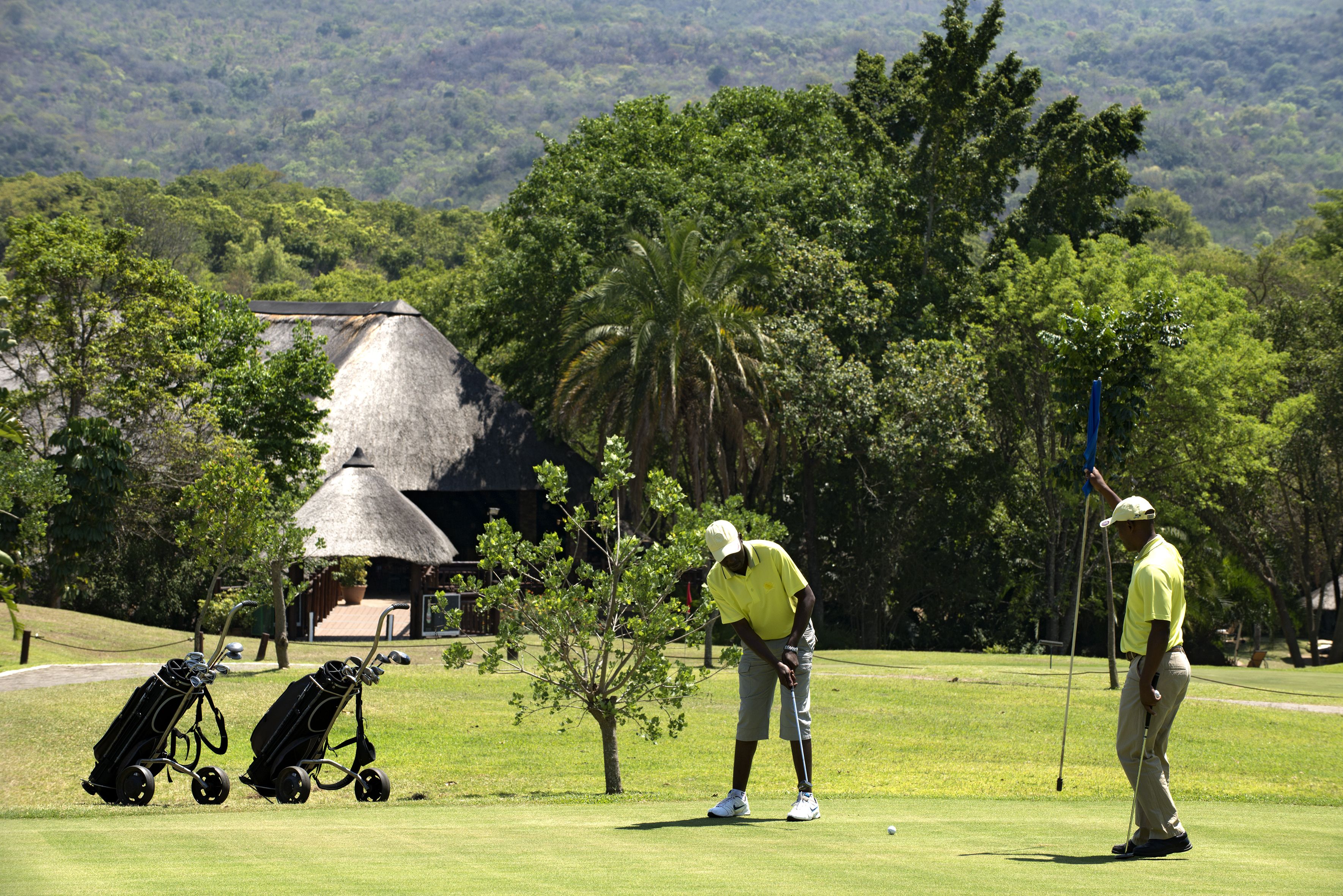 Un terrain de golf avec un bâtiment à toit de chaume, un palmier et des sacs de golf.