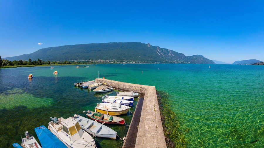 Noemys Viviers du Lac