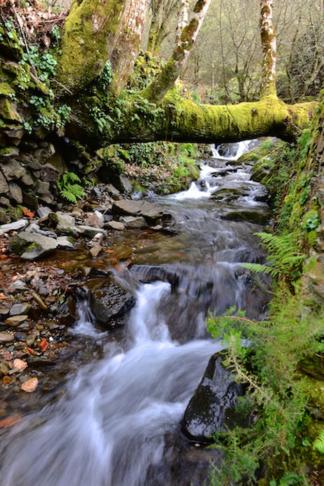 Palácio da Lousã Boutique Hotel by null