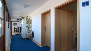 Un pasillo con puertas de madera, alfombra azul y una planta en un estante.