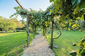 Blick auf den Garten