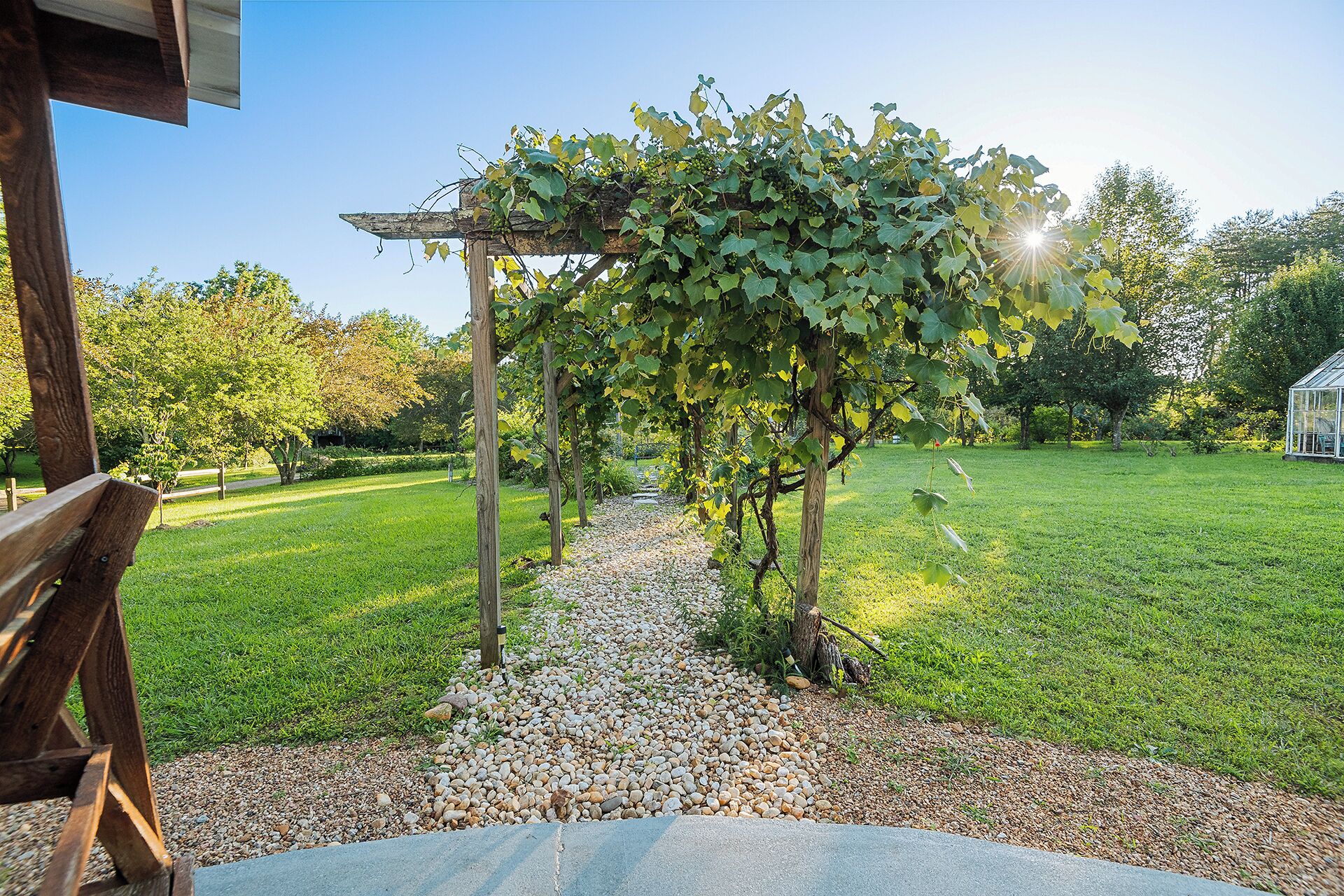 Un viñedo con una pérgola, un sendero de grava y una zona ajardinada.