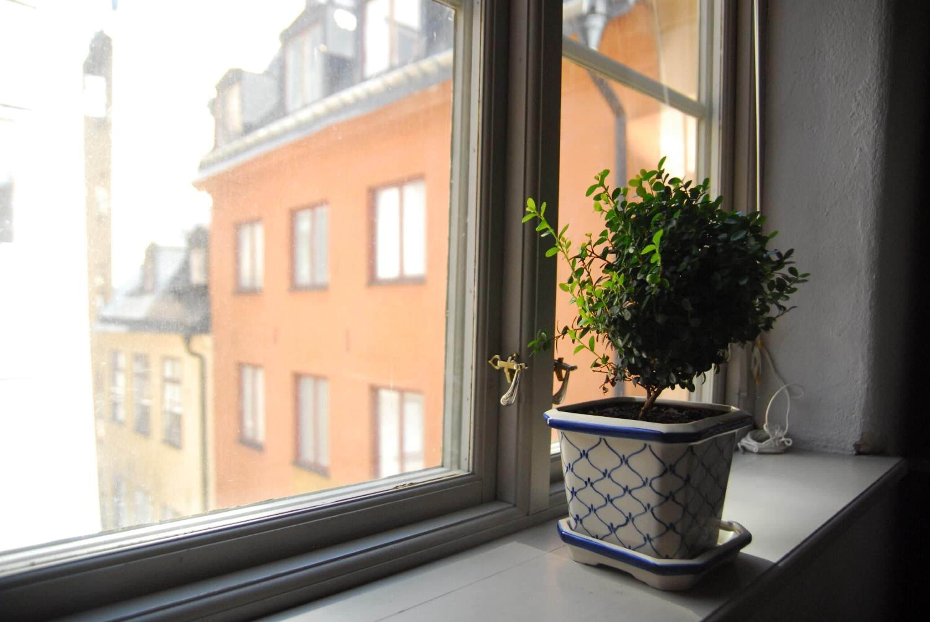 Foto - Hotel Sven Vintappare