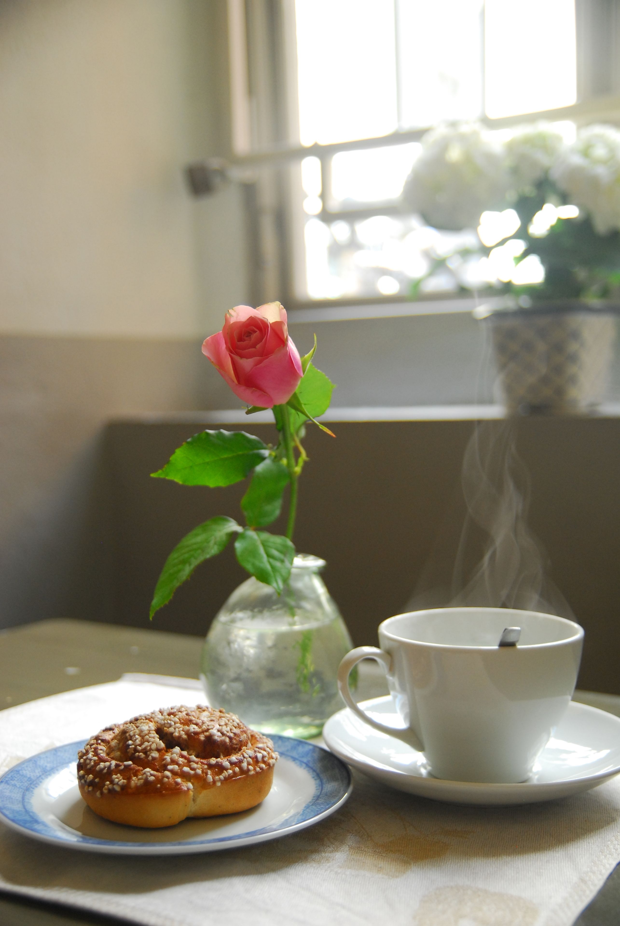 Photo - Hotel Sven Vintappare