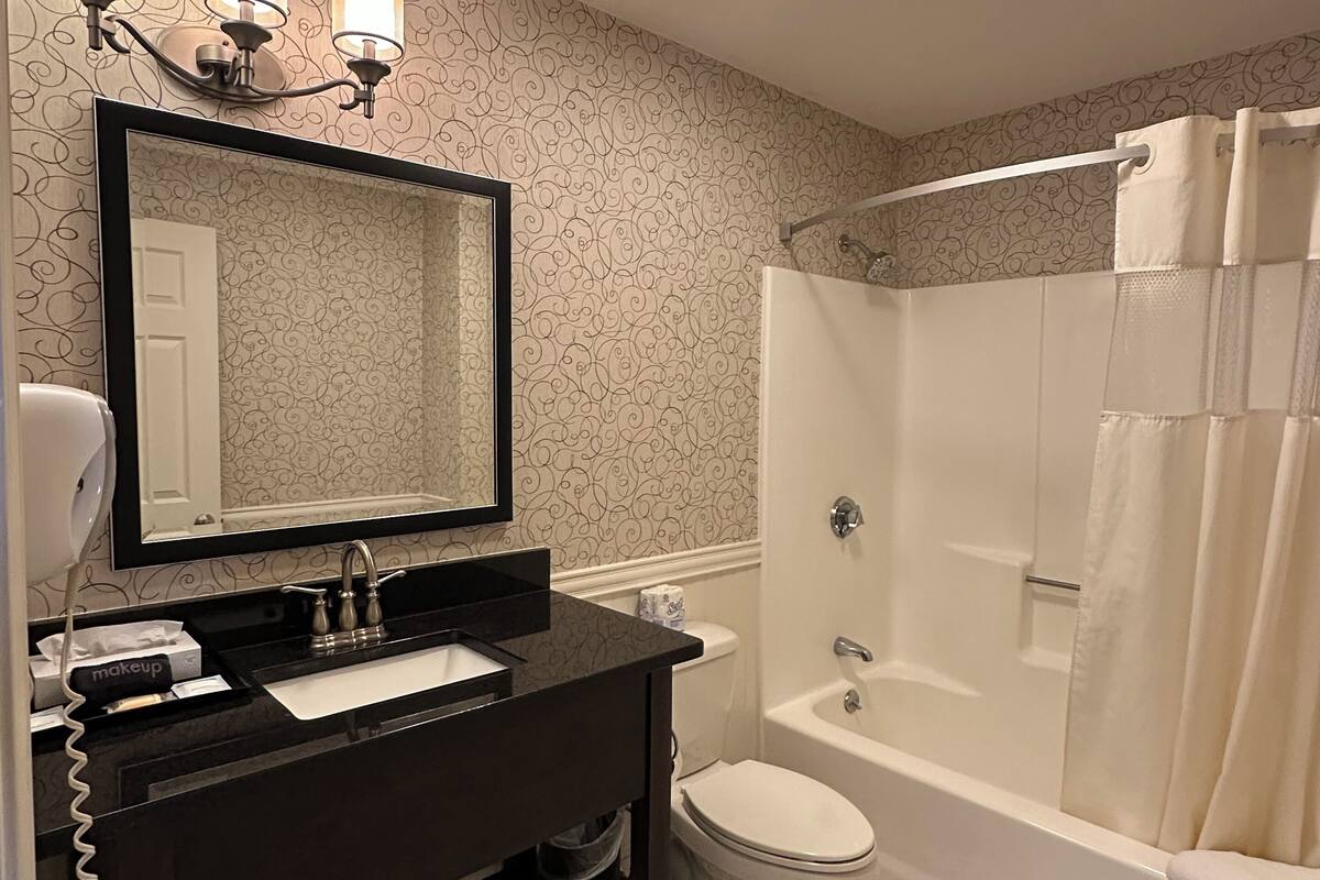 standard suite, 1 king bed with sofa bed, kitchen | bathroom | free toiletries, hair dryer, towels