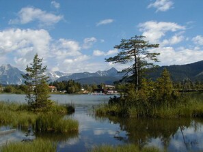 Un lac entouré d’arbres, avec des montagnes en arrière-plan.