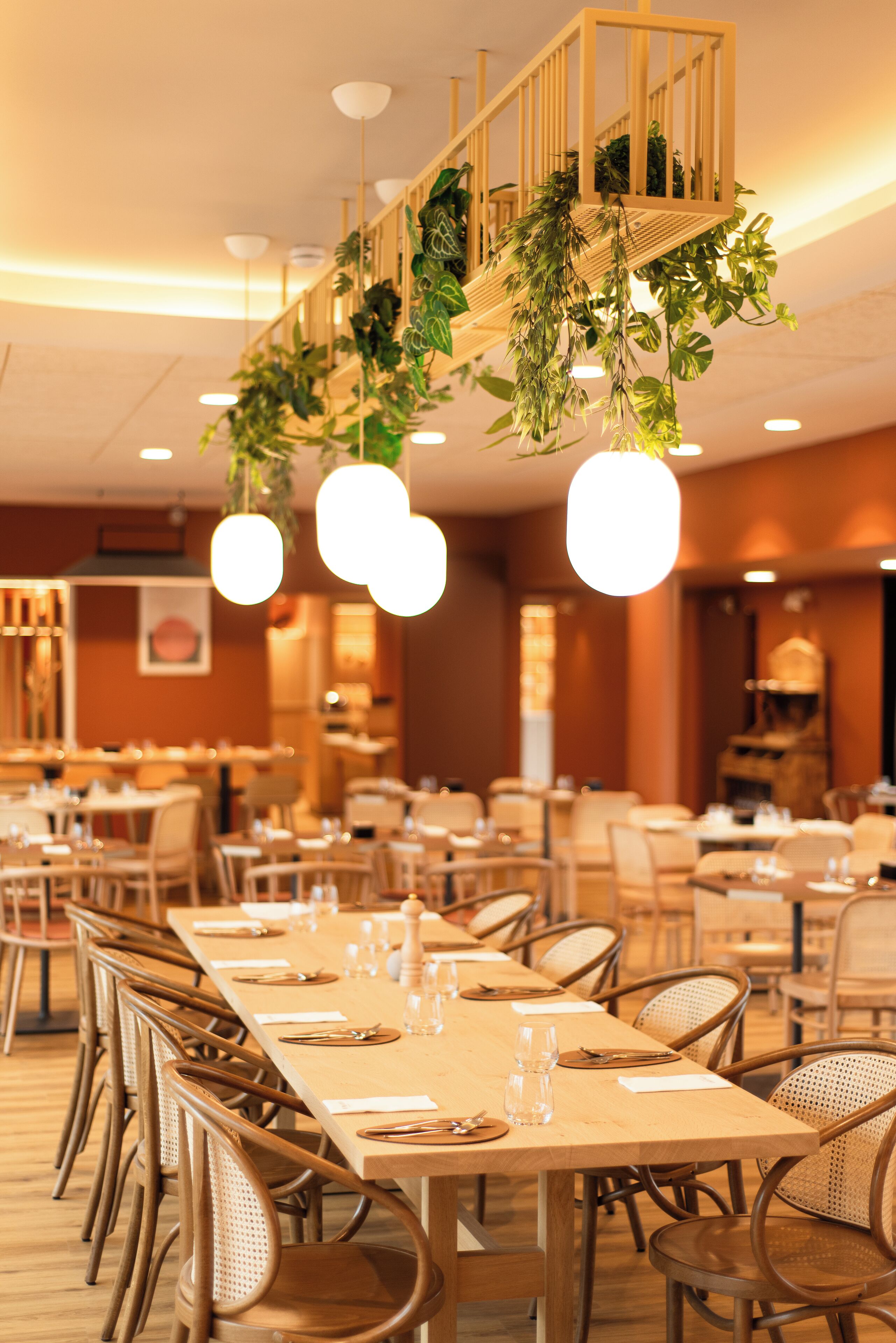 Un comedor con mesas de madera largas, sillas de mimbre, plantas colgantes e iluminación colgante.