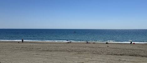 A beach with a clear sky and calm sea.