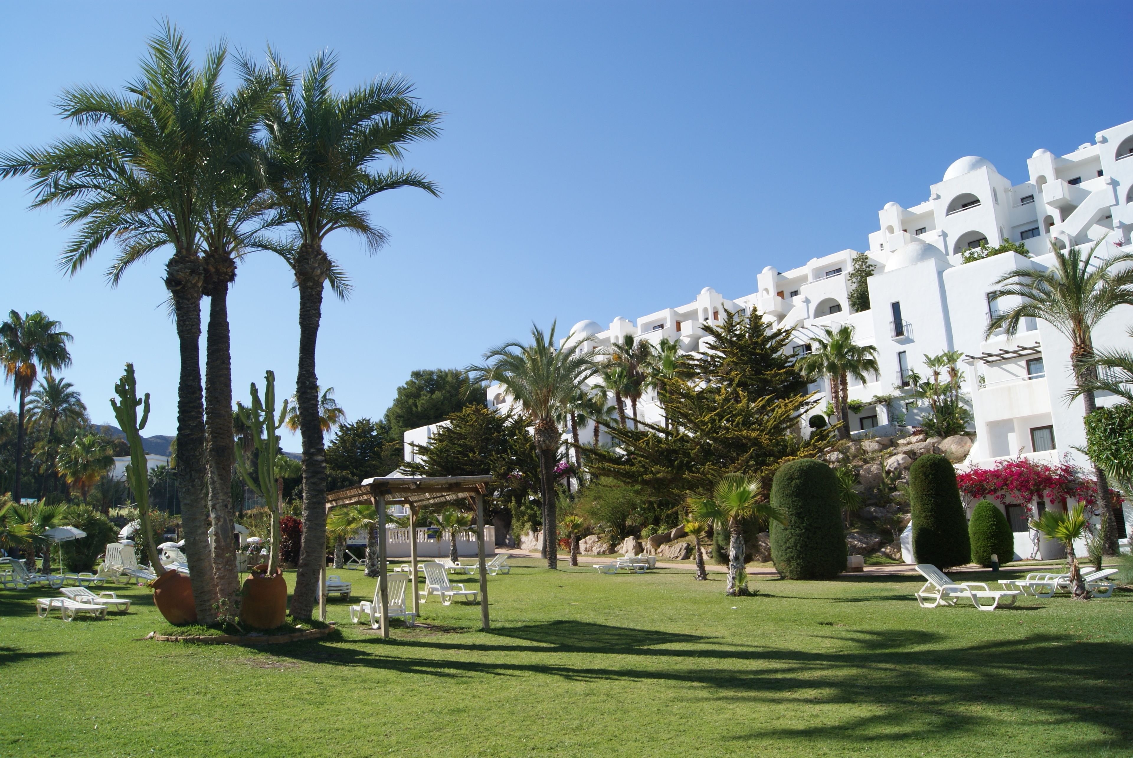 Een resort met palmbomen, een zwembad en witte gebouwen met koepeldaken.