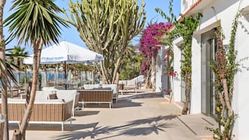 Bar (a l'allotjament)