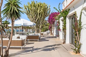 Bar (in der Unterkunft)