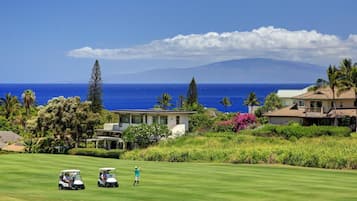 Servicio de la propiedad