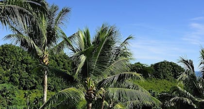 Airai Water Paradise Hotel & Spa