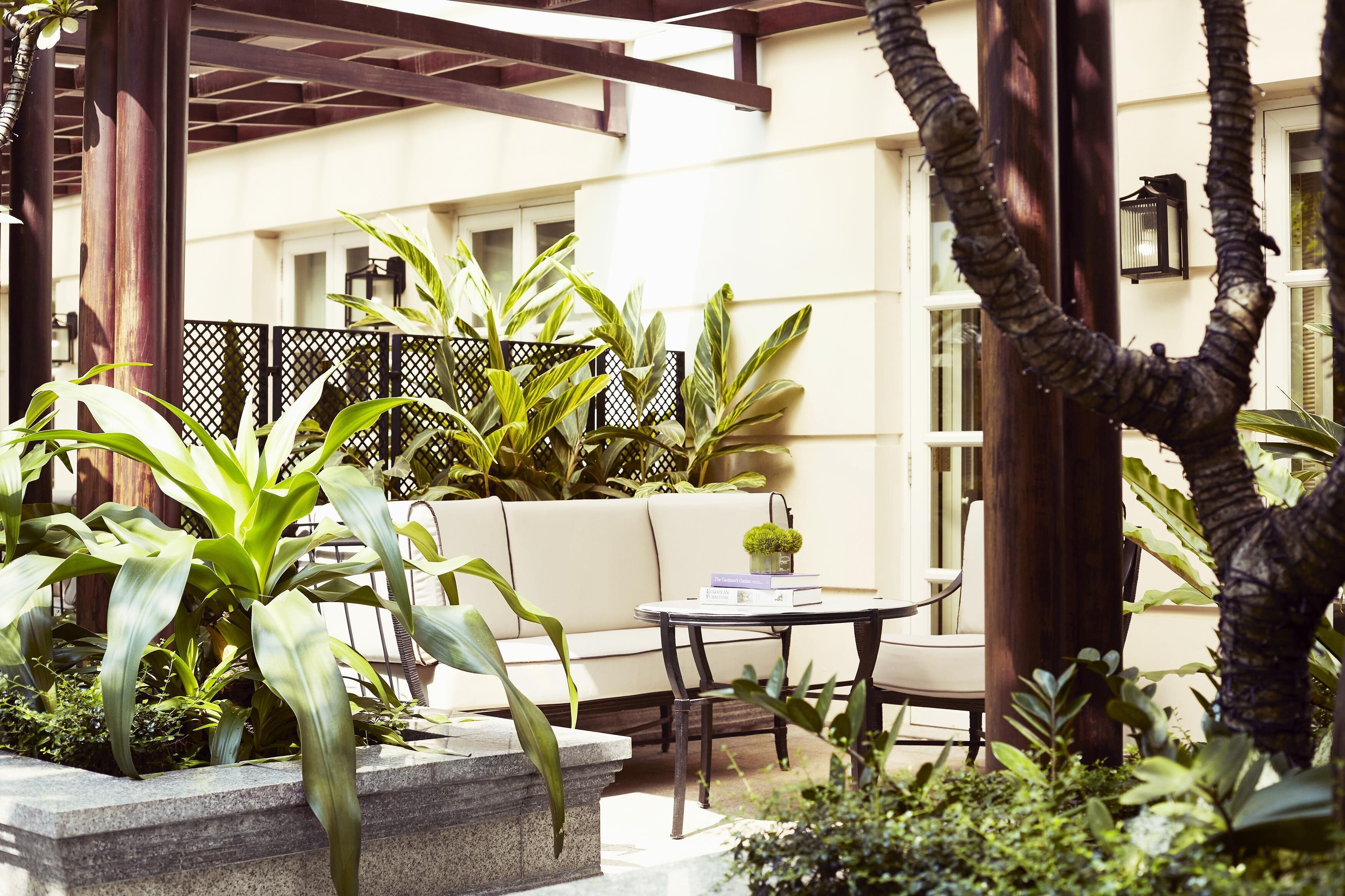 Un espace extérieur aménagé, abrité et doté d’un canapé et d’une table, entouré de différentes plantes et d’un tronc d’arbre décoratif.