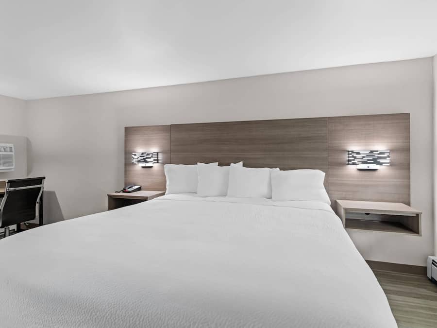 Standard Room, 1 King Bed, Non Smoking