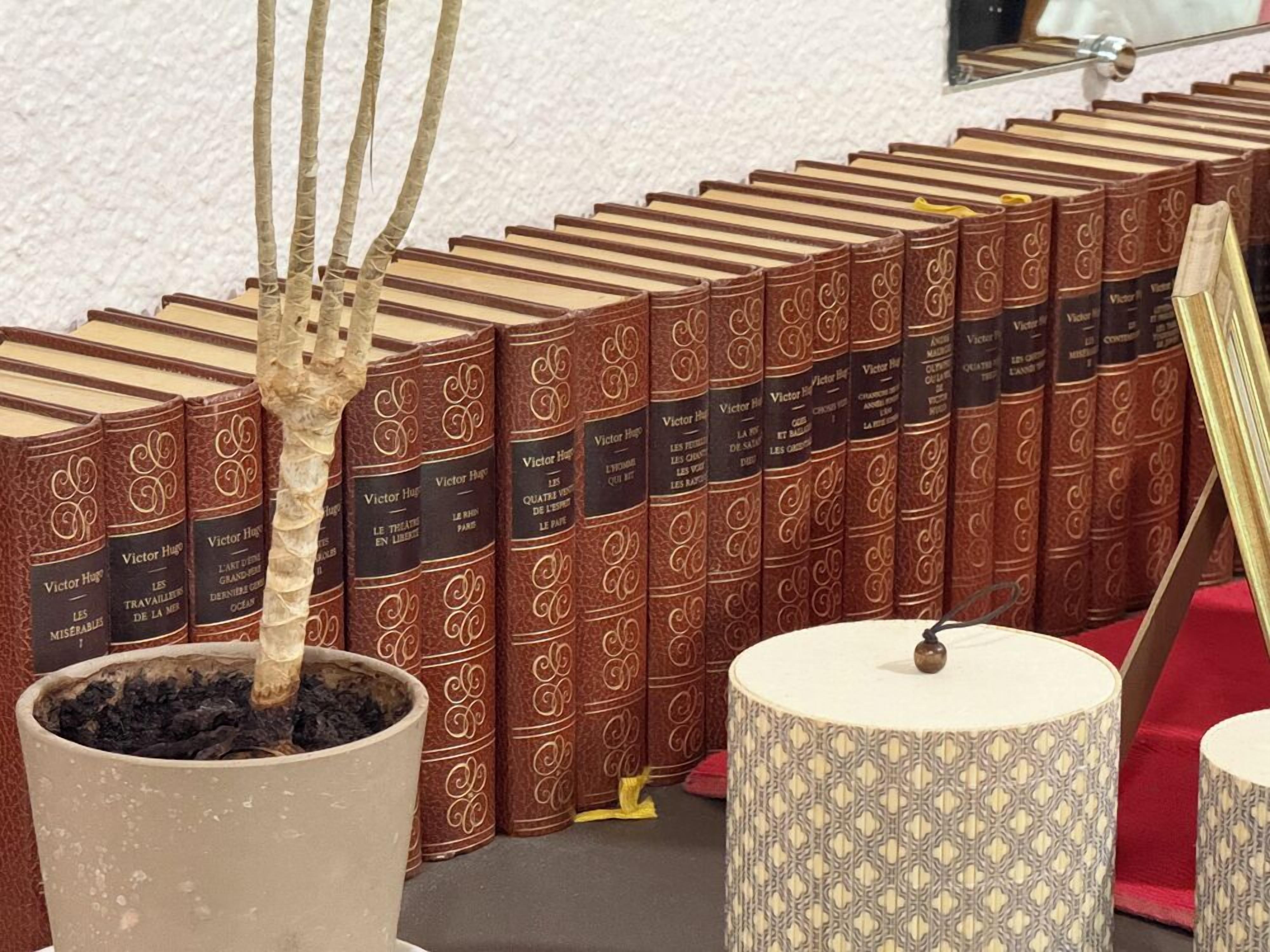 A row of books with a potted plant in front.