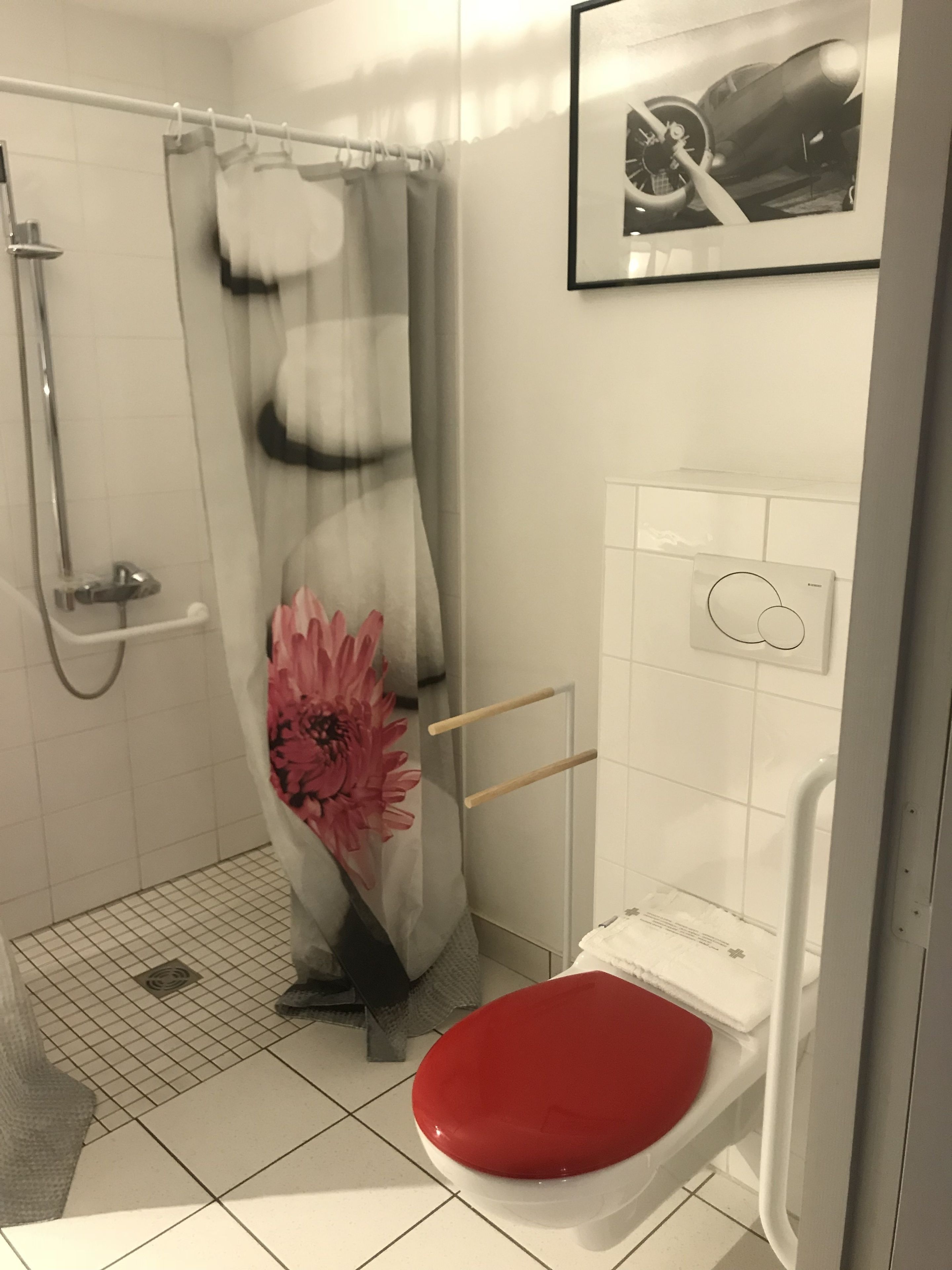 Ein Badezimmer mit Dusche, Toilette und einem gerahmten Bild an der Wand.