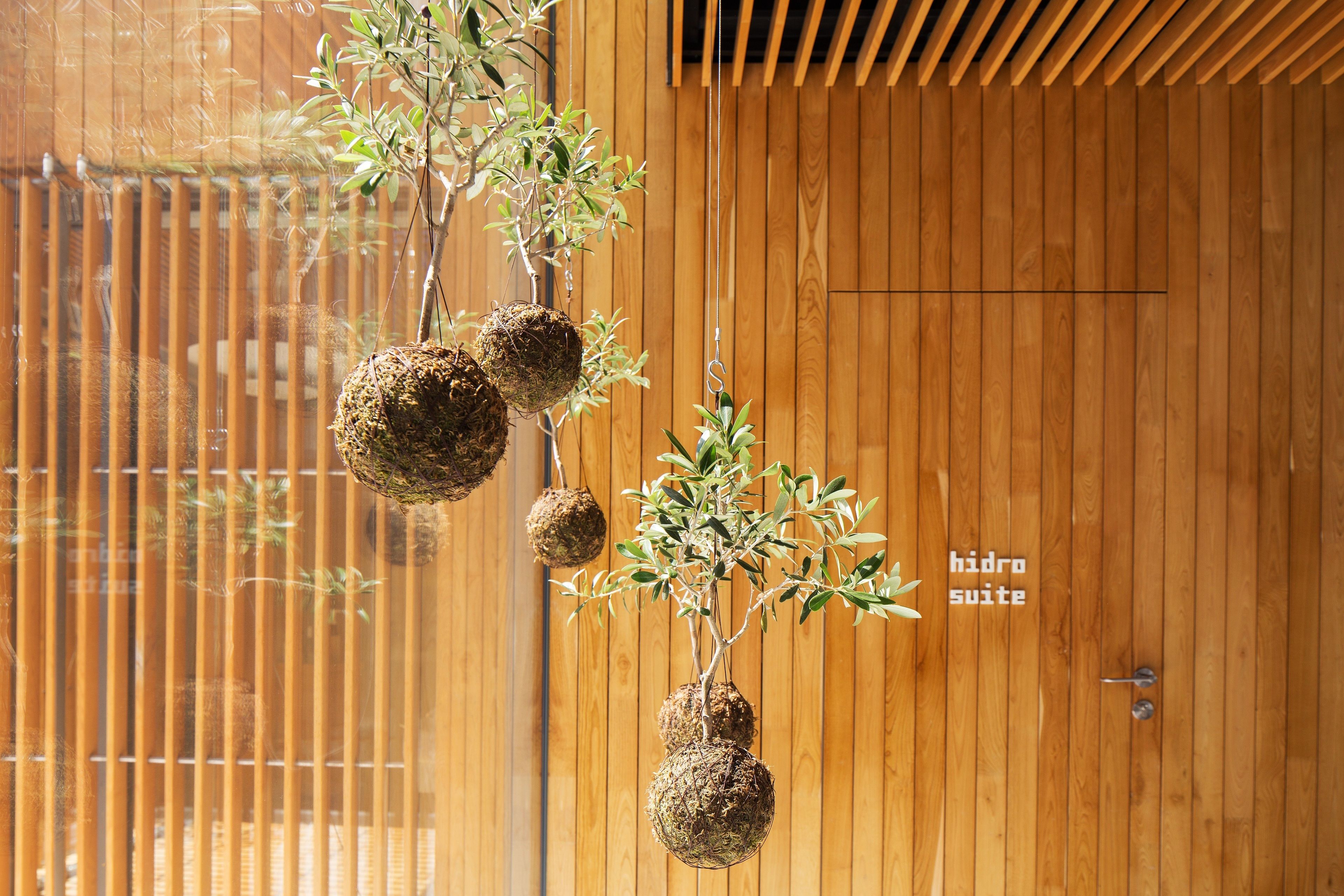 couples treatment room(s), sauna, hot tub, steam room, body treatments