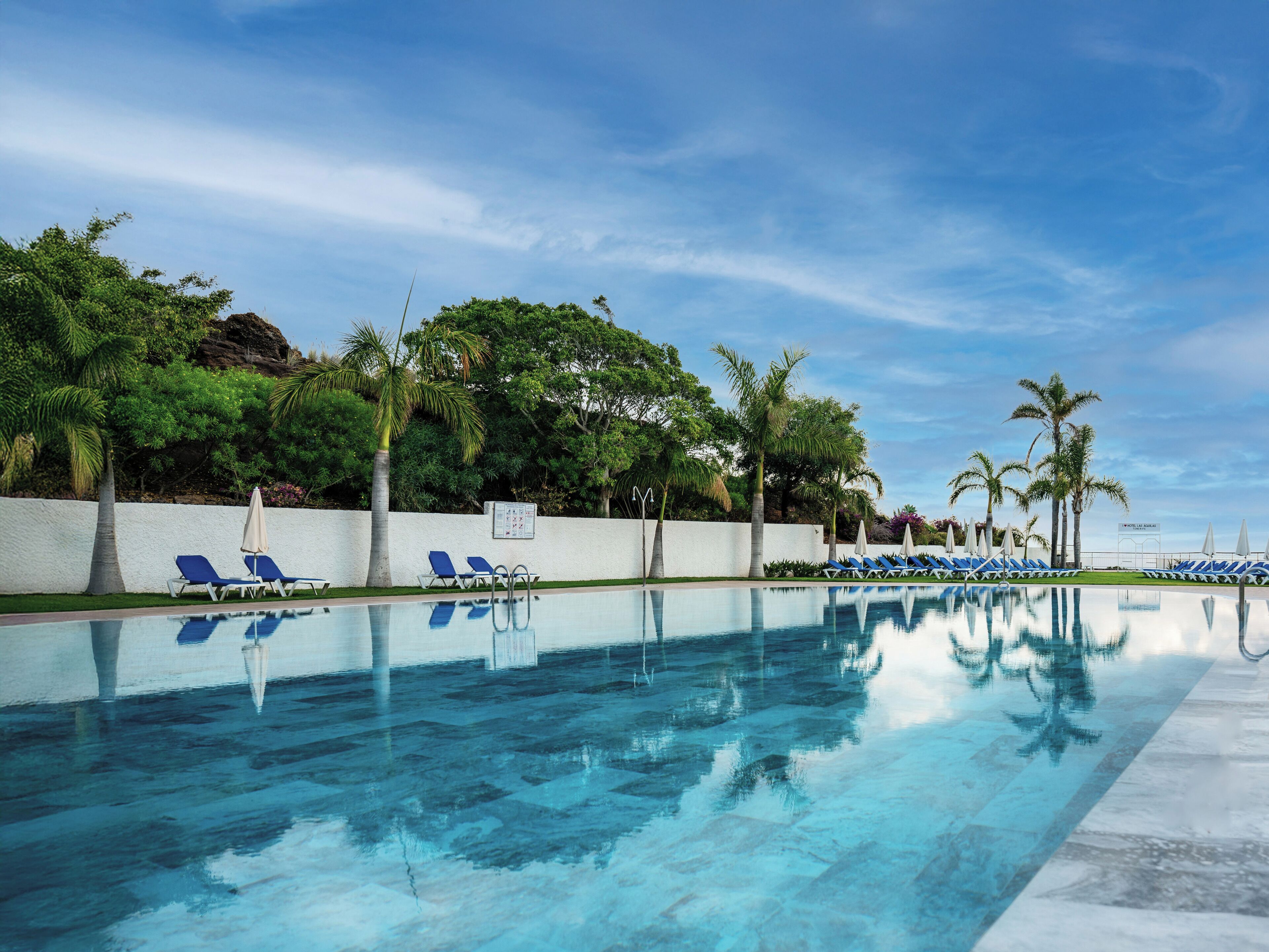 Une piscine à l’eau d’un bleu cristallin, entourée de palmiers et de chaises longues.