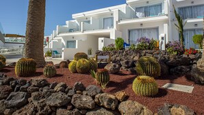 Unclassified image, 2 of 68, button - Hotel Taimar (Pajara)