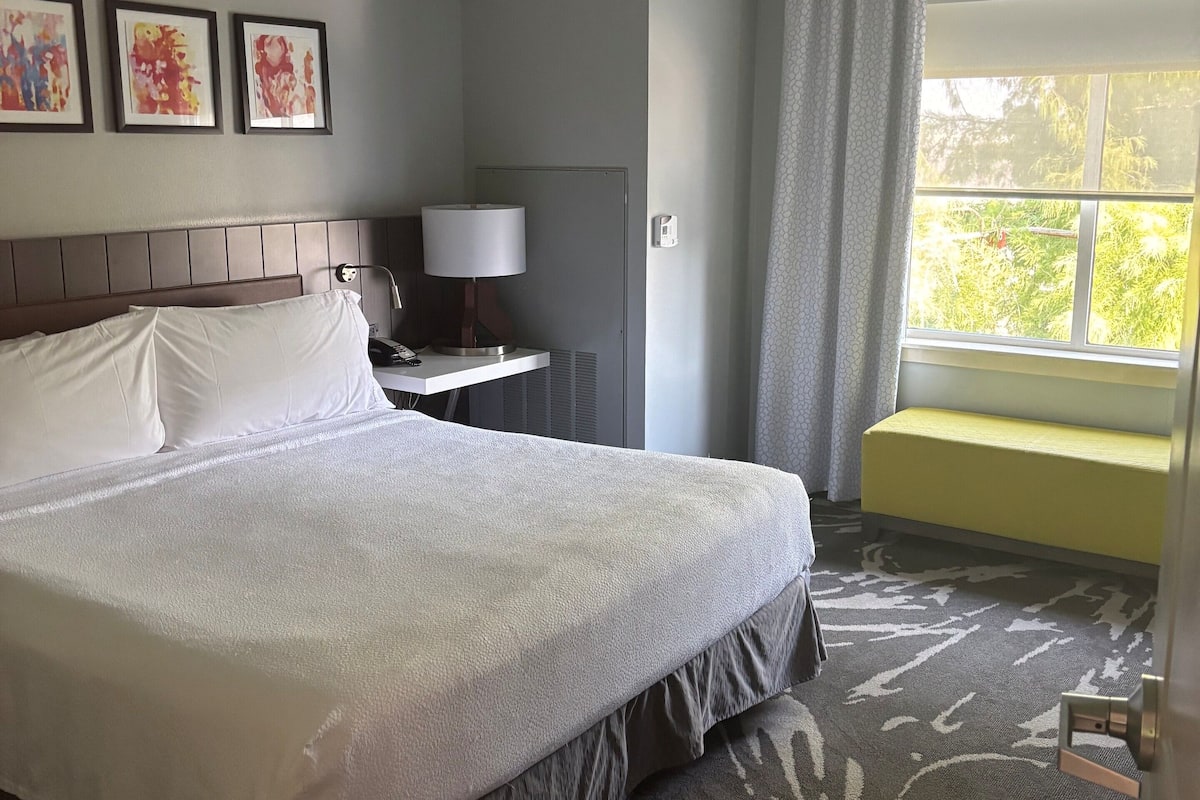 A hotel room with a large bed, a bedside table with a lamp, a window with a view of greenery, and a wall with abstract art.