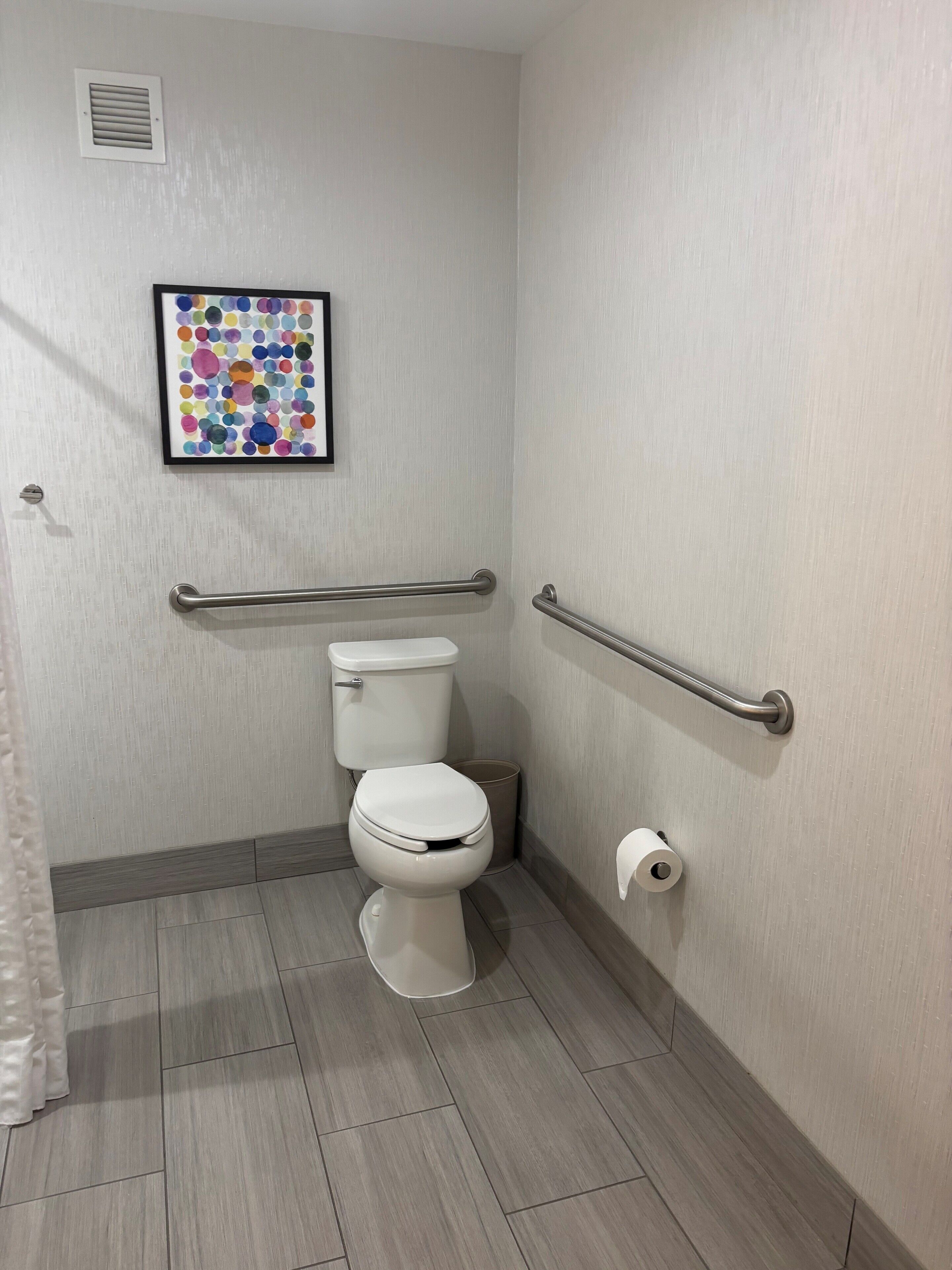 A bathroom with a toilet, a handrail, a picture on the wall, and a roll of toilet paper.
