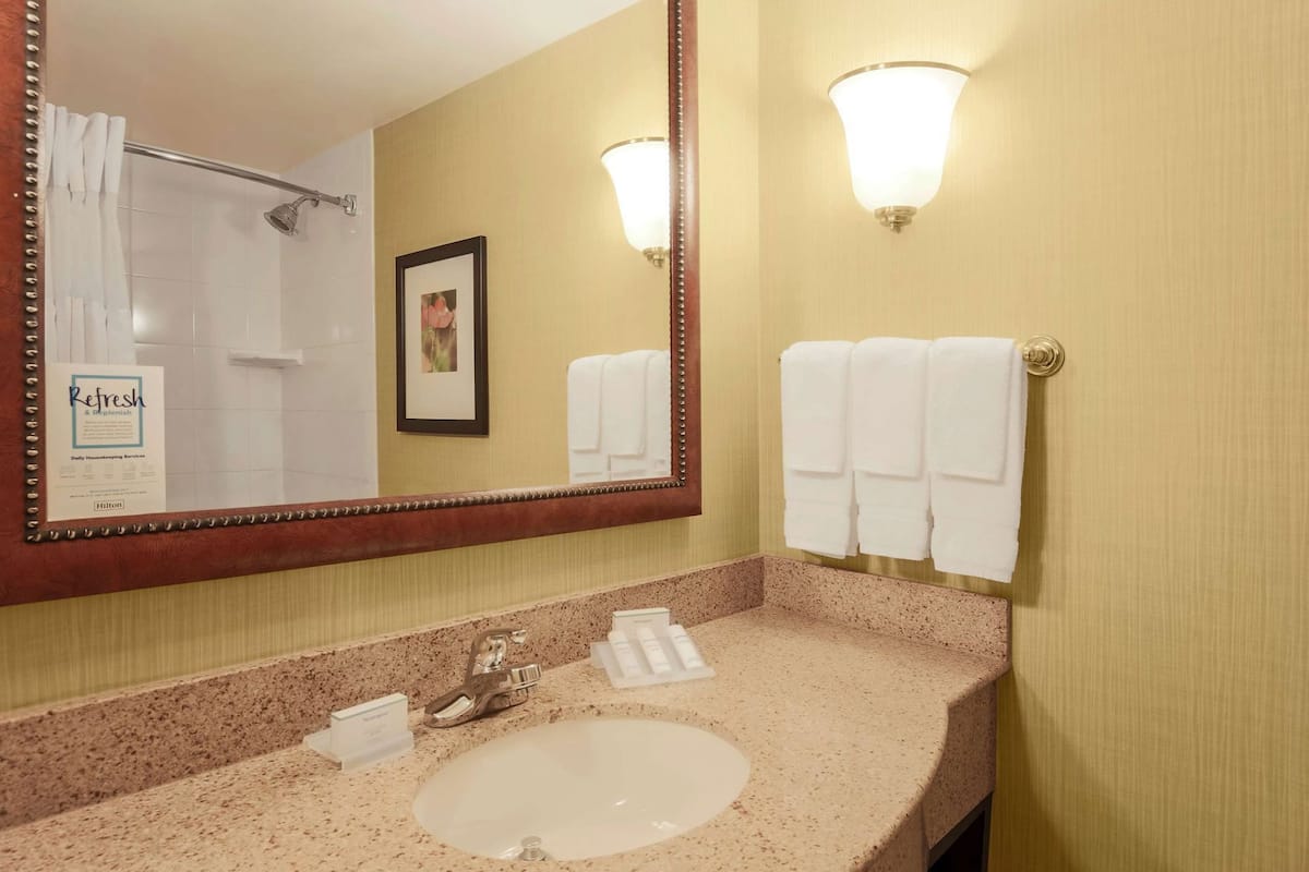 A hotel bathroom with a sink, mirror, towel rack, and a framed picture on the wall.