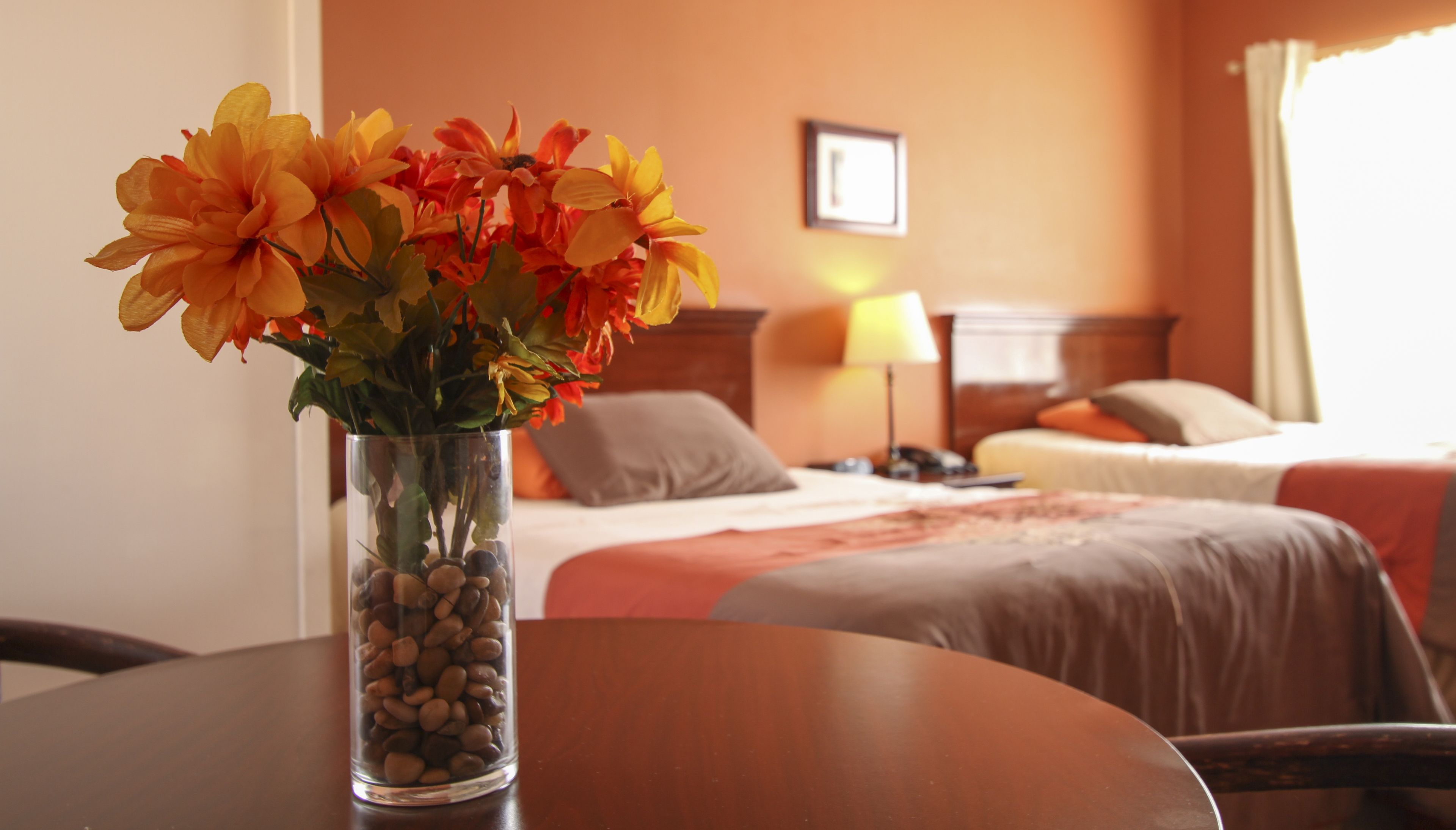 วิวจากห้องพัก