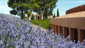 A building with a modern design, surrounded by a garden with lavender and trees. - Hotel Cigarral El Bosque (Toledo)
