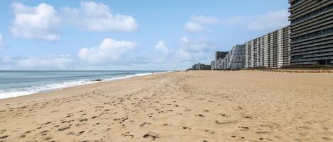 On the beach