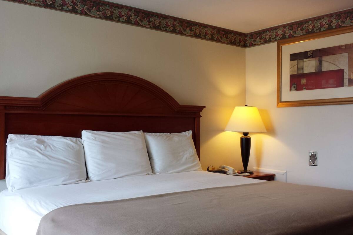 A neatly made bed with white linens and a brown headboard, a bedside lamp, and a framed picture on the wall.