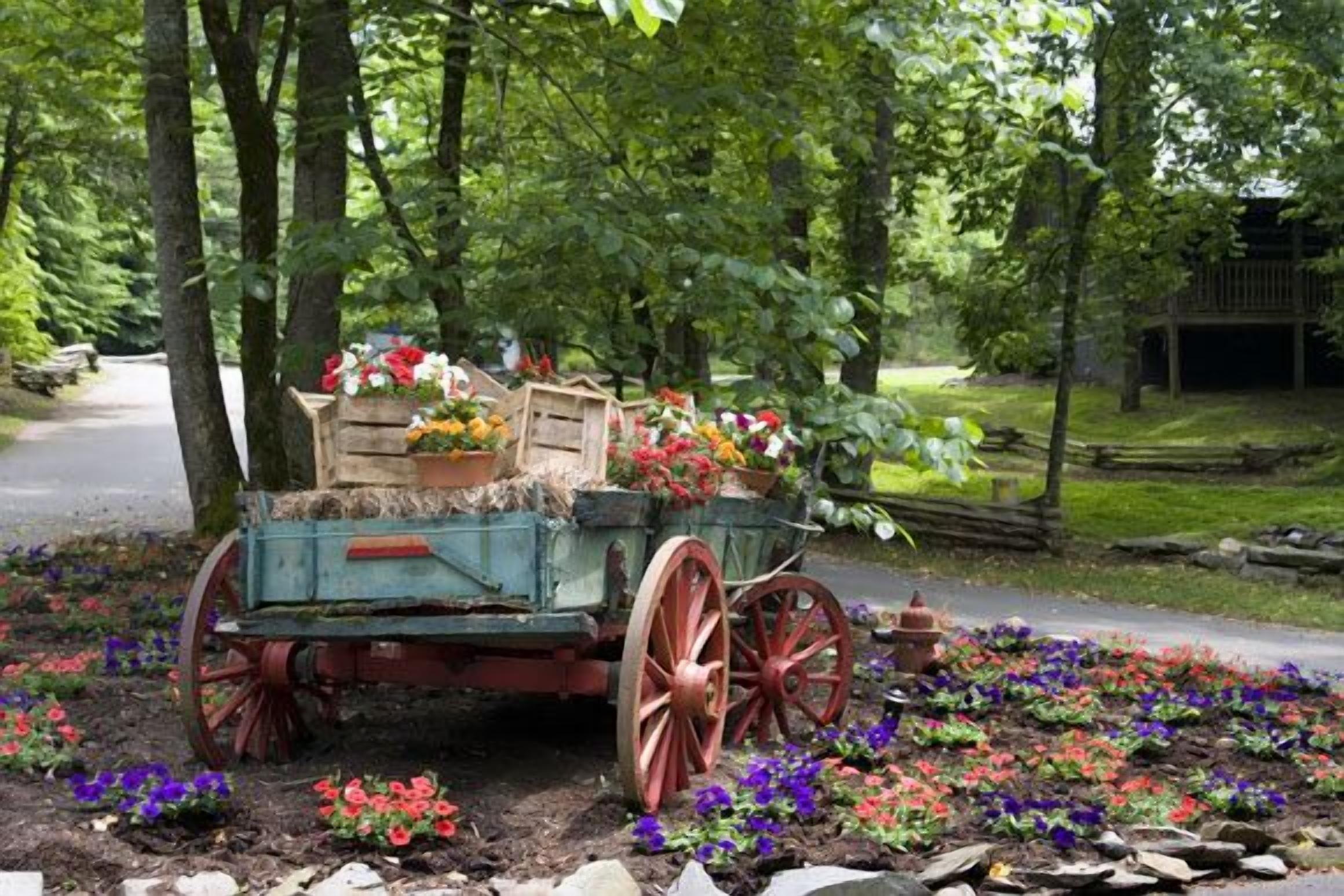 Een rustieke houten kar vol met bloemen, omringd door een kleurrijke bloemenbed in een bebost gebied.