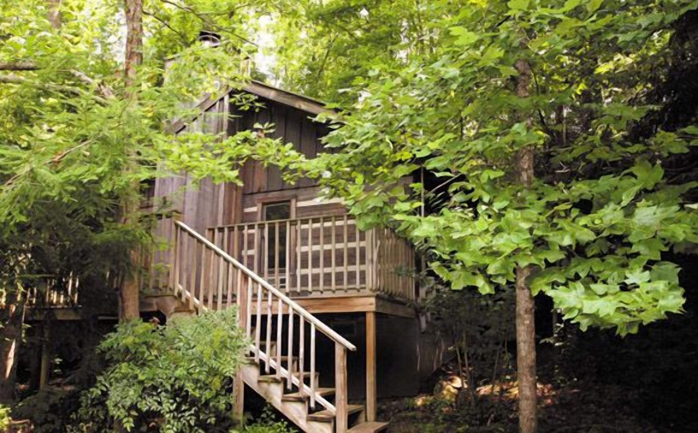 Deluxe Cabin, 1 King Bed, Fireplace (Pet Friendly) | Terrace/patio