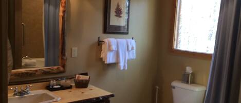 A bathroom with a sink, mirror, and toilet.