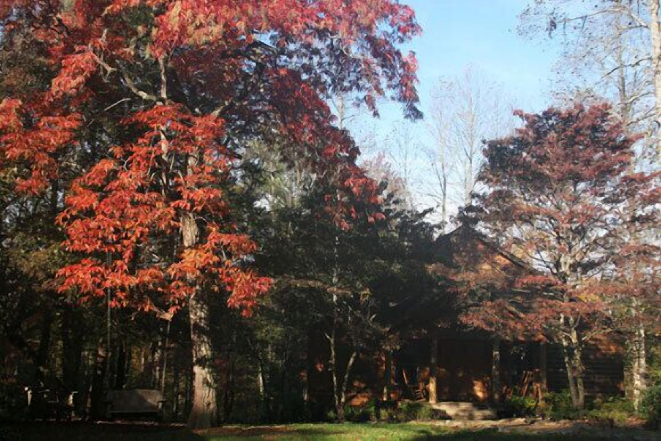 A wooden cabin surrounded by trees with autumn foliage.