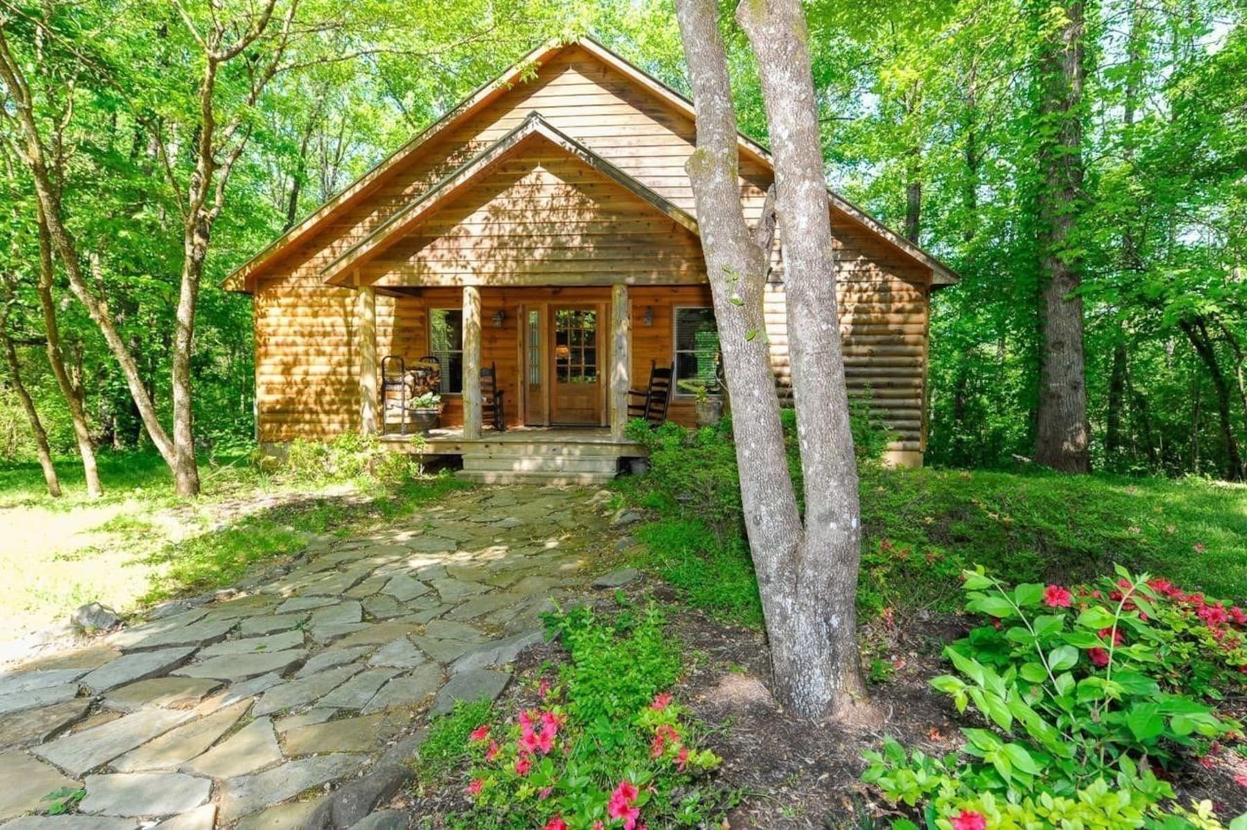 Luxury Cabin, 1 King Bed (Leconte) (Pet Friendly) | Terrace/patio