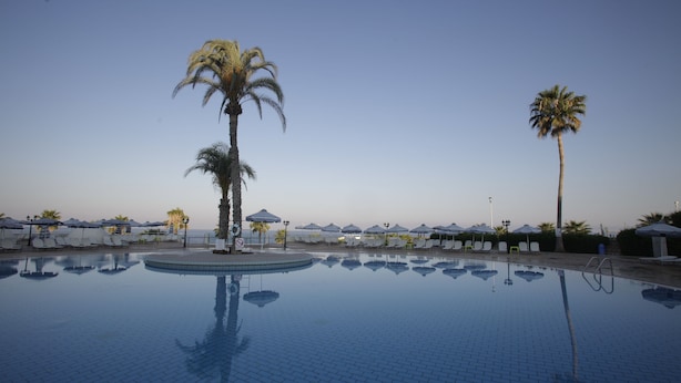 Une piscine bordée de palmiers, avec des chaises longues et des parasols.