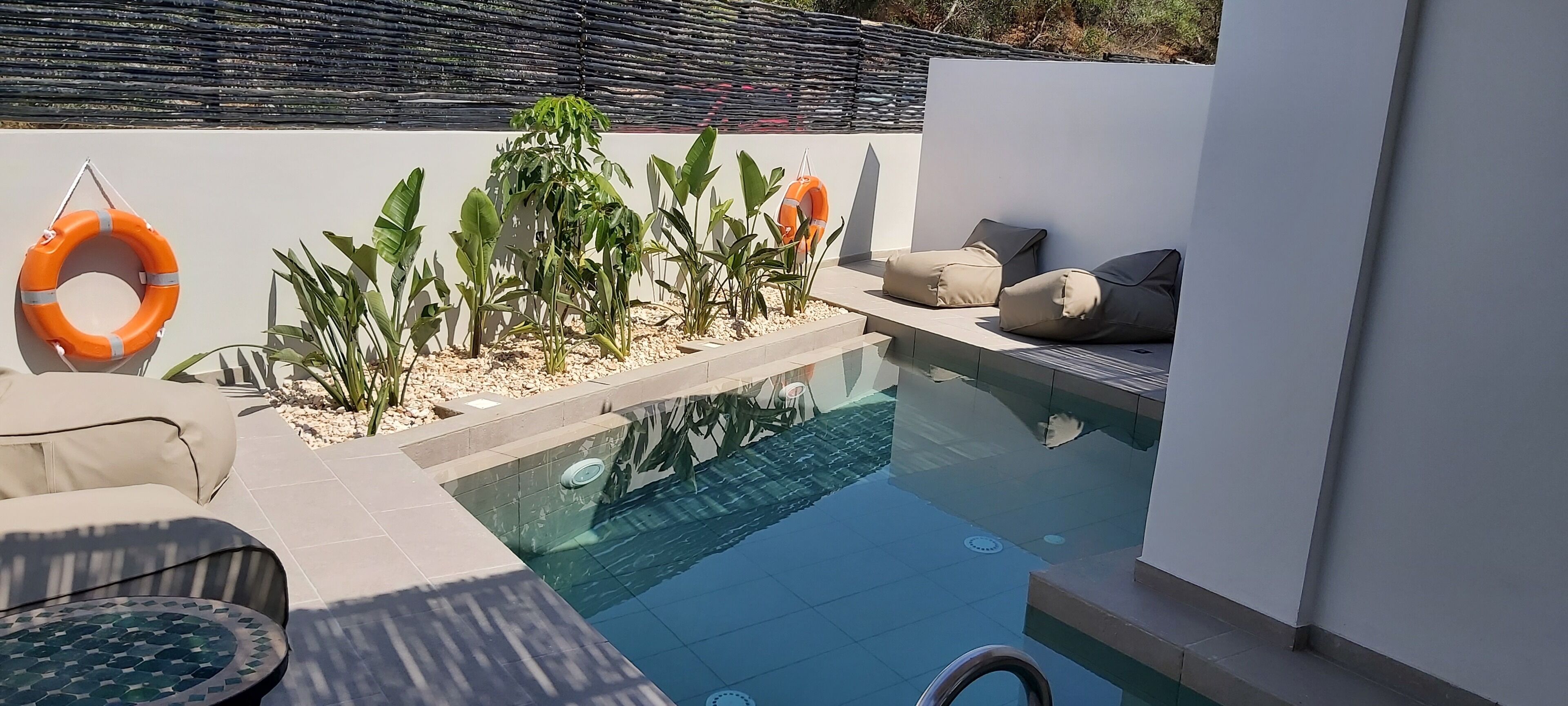 Ein moderner Poolbereich im Freien mit Glastrennwand, Liegemöglichkeiten und Topfpflanzen.