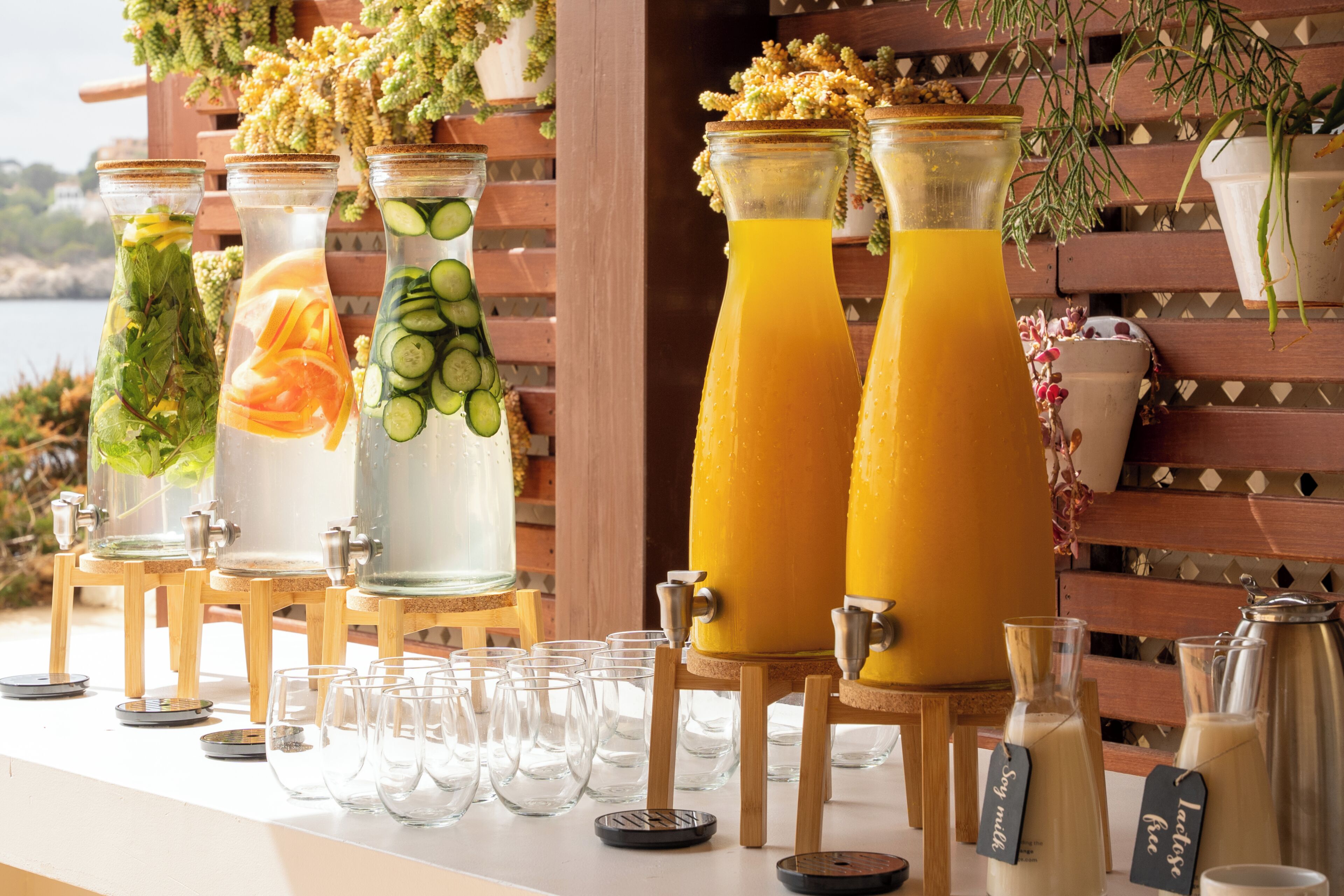 A bar area with multiple drink dispensers, glasses, and a wooden backdrop with hanging plants.