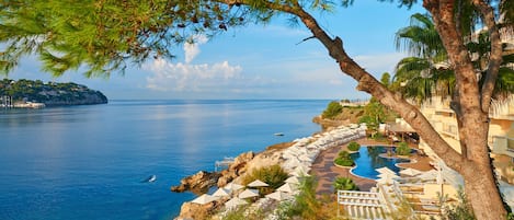 Vista desde la propiedad