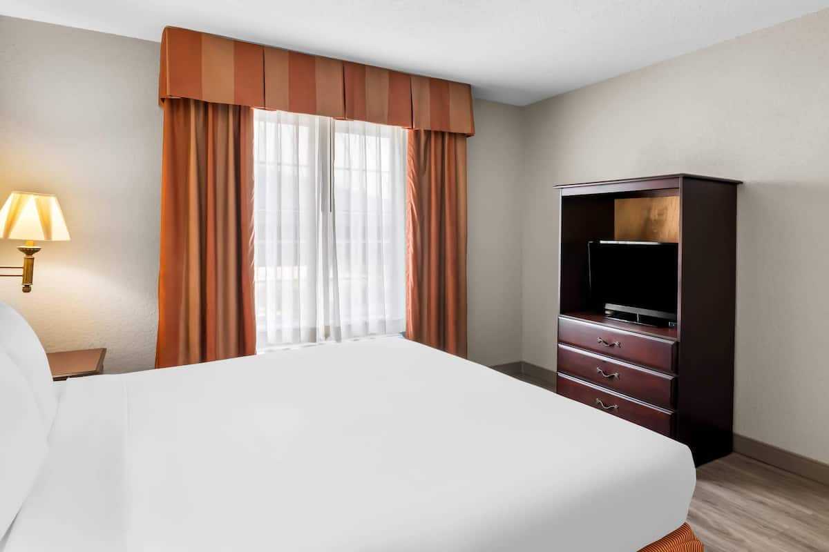 A hotel room with a bed, a TV, a dresser, and a lamp.